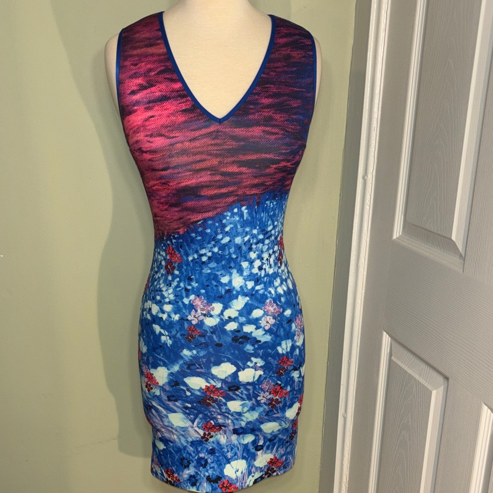 Clover Canyon Pink & Blue V-Neck Floral Bodycon Dress size XS